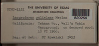 Image Associated With the Occurence